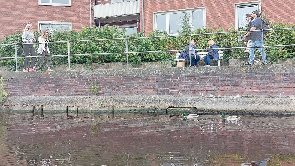 Man muss schon sehr genau hinschauen, um den Gedenkstein (links der Enten) an der Wasserlinie zu erkennen. Fotos: Hanssen