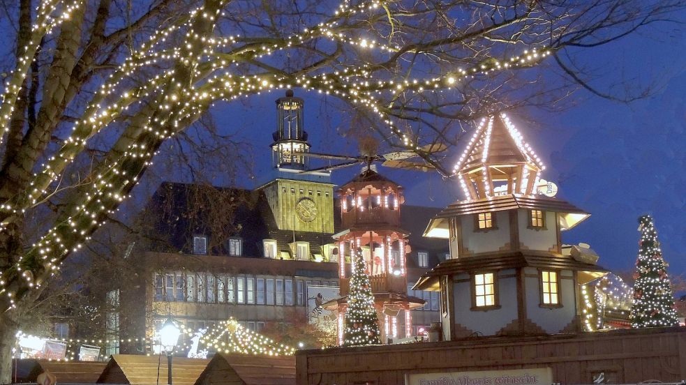 Der Stadtgarten könnte zur Adventszeit wieder im Lichterglanz erstrahlen. Foto: Archiv