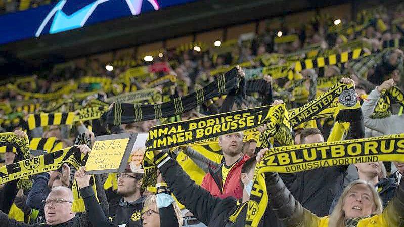 Borussia Dortmund darf künftig 67.000 Fans ins Stadion lassen. Foto: Bernd Thissen/dpa