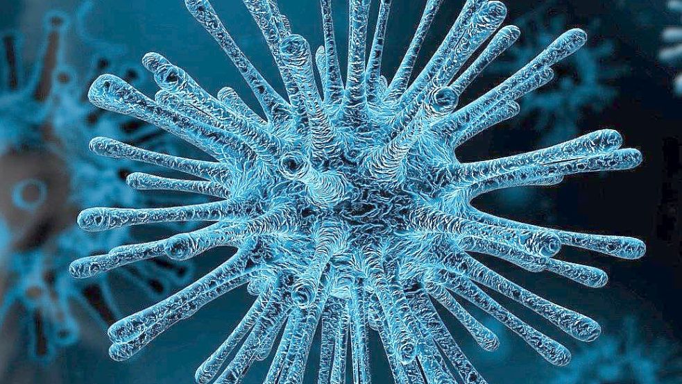 Das Coronavirus. Bild: Pixabay