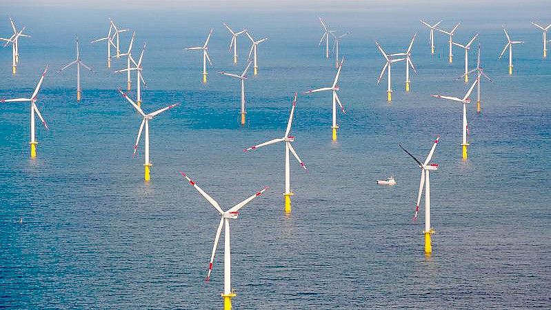 Der Offshore-Windpark „Butendiek“, etwa 30 Kilometer vor der Insel Sylt in der Nordsee. Foto: Daniel Reinhardt/dpa