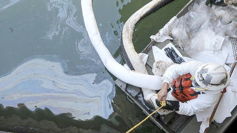 Arbeiter im Schutzanzug im Einsatz. Foto: Ringo H.W. Chiu/AP/dpa