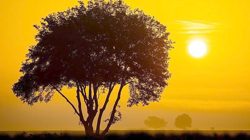 Goldener Oktober: Das Wochenende wird sonnig. Foto: Moritz Frankenberg/dpa