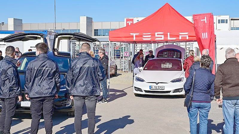 Mancher Besucher bei Teslas Tag der offenen Tür dürfte wohl vor allem aus einem Grund gekommen sein: um einmal in einem Modell des US-Elektroautobauers zu sitzen. Foto: Patrick Pleul/dpa-Zentralbild/dpa