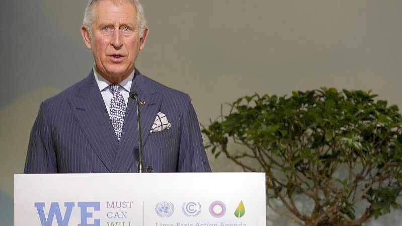 Der britische Prinz Charles bei einer Rede auf der UN-Klimakonferenz COP21 in Le Bourget 2015. Foto: Christophe Ena/AP/dpa