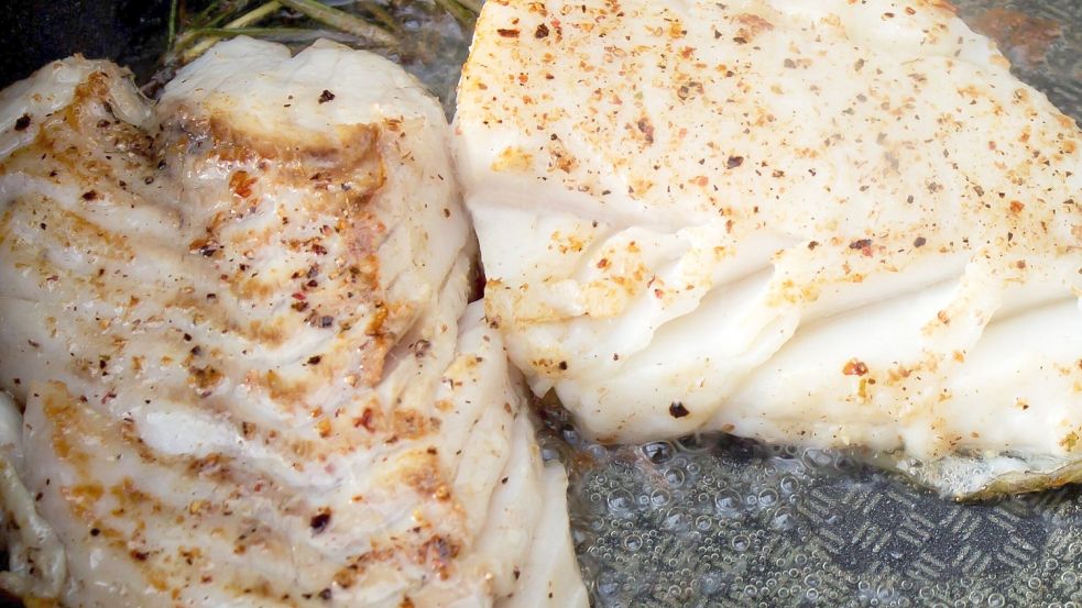 Angler nennen ihn auch „das Schwein der Ostsee“: Den Dorsch. Foto: imago images / Shotshop