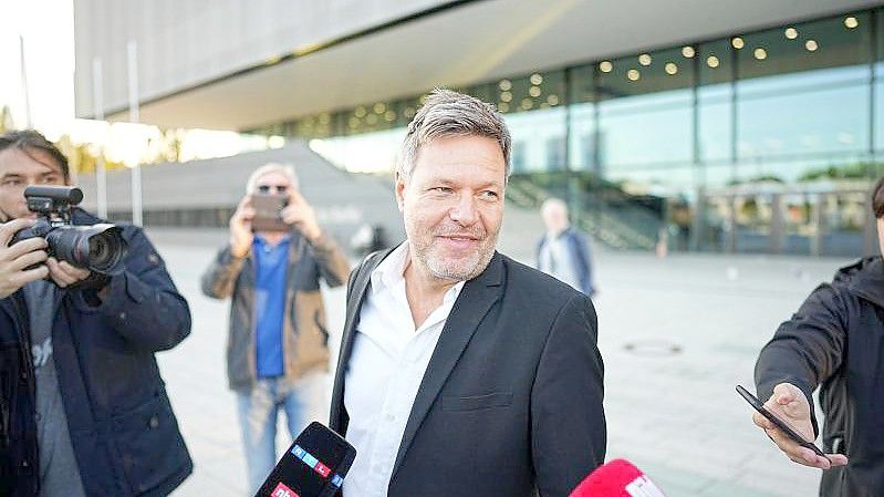 „Scheitern ist eigentlich keine Option“: Grünen-Co-Chef Robert Habeck. Foto: Michael Kappeler/dpa