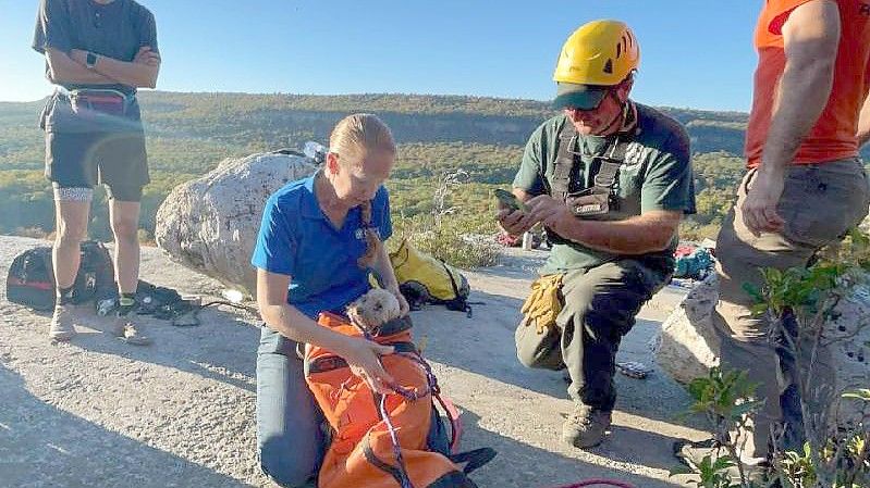 Eine zierliche Höhlenretterin des New Jersey Initial Response Team konnte die Hündin Liza unverletzt aus der Tiefe einer Felsspalte bergen. Foto: -/NY State Parks/dpa