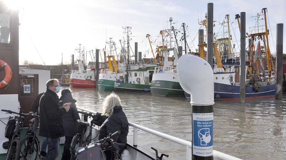 Für die Betreiber der Krabbenkutter im Hafen von Ditzum sind die Monate September bis Dezember Hochsaison. Foto: Wolters