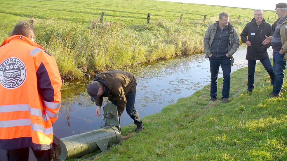 Bei der Herbstdeich- und sielschau wurde unter anderem auch diese Nutriafalle begutachtet, in der laut Rendant Johann Oldewurtel schon ein paar Exemplare gefangen werden konnten. „Ein Nutria ist vor den Augen der Schaukommission davongeschwommen“, schreibt er unserer Zeitung. Foto: Deichacht Norden