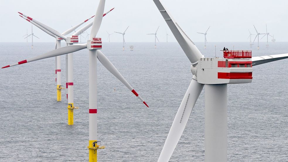 Der Offshore-Windpark Nordsee 1. Archiv-Foto: Wagner/dpa