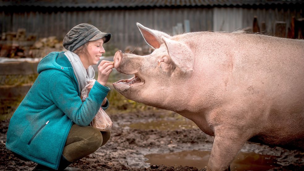 Grunzend vor Glück lässt sich Rosalie von Maren Osterbuhr mit Brötchenresten füttern. „Sie kann unglaublich vorsichtig sein und macht mir mit der Schnauze sogar Reißverschlüsse auf – und sie war schneller stubenrein als jeder Hund“, sagt die junge Landwirtin. Fotos: Cordsen (3)/privat (4)