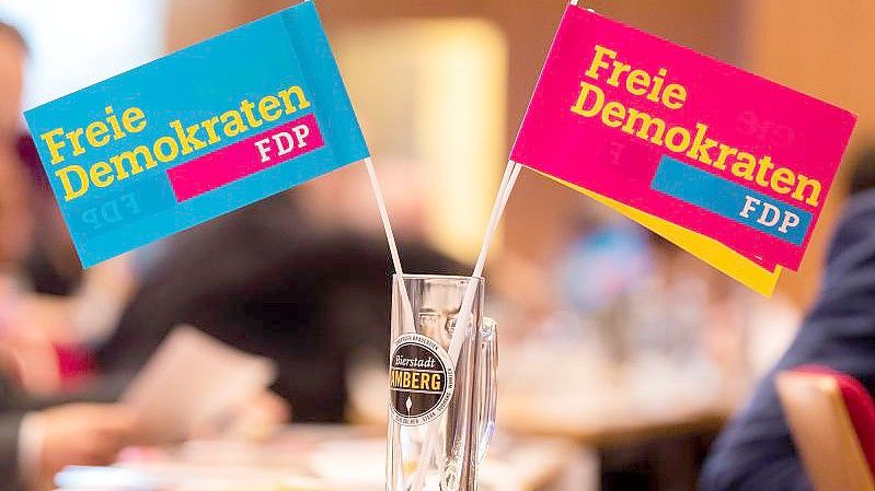 Nach dem Rücktritt Weidmanns als Chef der Bundesbank pocht die FDP darauf, den bisherigen Kurs beizubehalten. Foto: Nicolas Armer/dpa