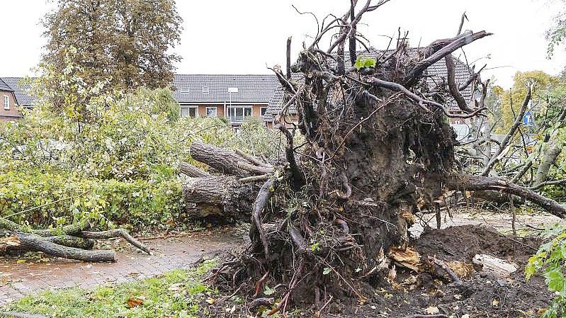 Schäden durch einen Tornado. In Klausdorf, einem Stadtteil von Schwentinental bei Kiel, hat ein Tornado schwere Schäden verursacht. Foto: Frank Molter/dpa