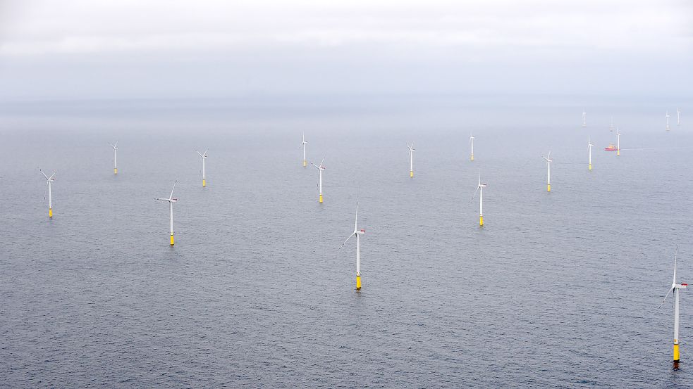Der Windpark Borkum Riffgrund 1 – 2 ist auch in Betrieb, 3 soll kommen. Foto: Jaspersen/DPA