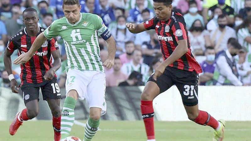 Joaquin (l) und Leverkusens Amine Adli teilten sich mit ihren Teams die Punkte. Foto: Jose Luis Contreras/AP/dpa