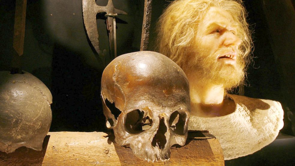 Laut dem Museum für Hamburgische Geschichte könnte es sein, dass es sich bei dem Schädel in ihrer Ausstellung um Klaus Störtebekers‘ handelt. Foto: SHMH/Angela Franke