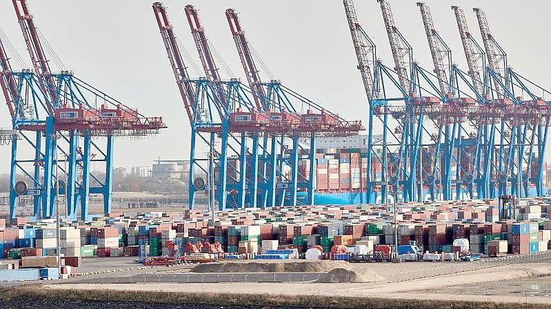 Container und Kräne im Hamburger Hafen. Foto: Georg Wendt/dpa
