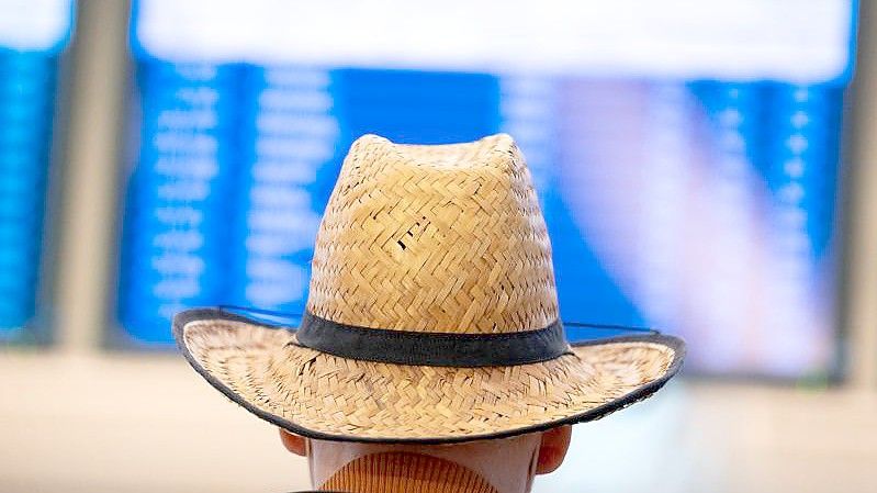 Ein Mann blickt am Hamburger Flughafen auf eine Anzeigetafel. Foto: Jonas Walzberg/dpa