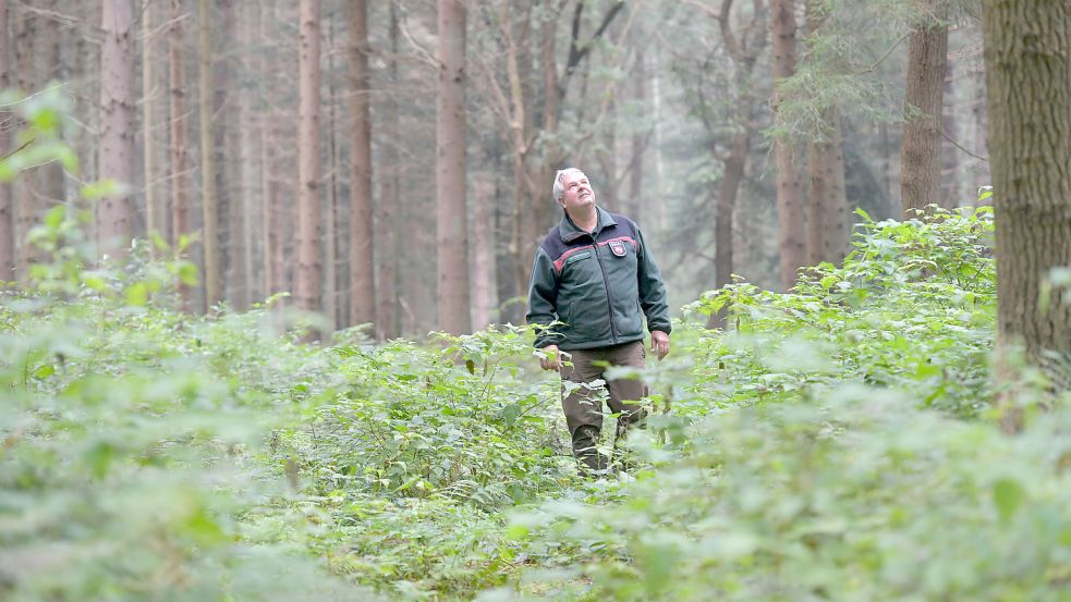 Bezirksförster Erich Delfs kennt die ostfriesischen Wälder gut. Foto: Ortgies/Archiv