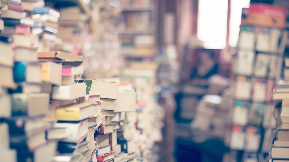 In Corona-Zeiten entrümpeln viele Menschen Dachboden und Keller. Zahlreiche Bücher kommen zum Vorschein, die gespendet werden. Symbolfoto: Pixabay