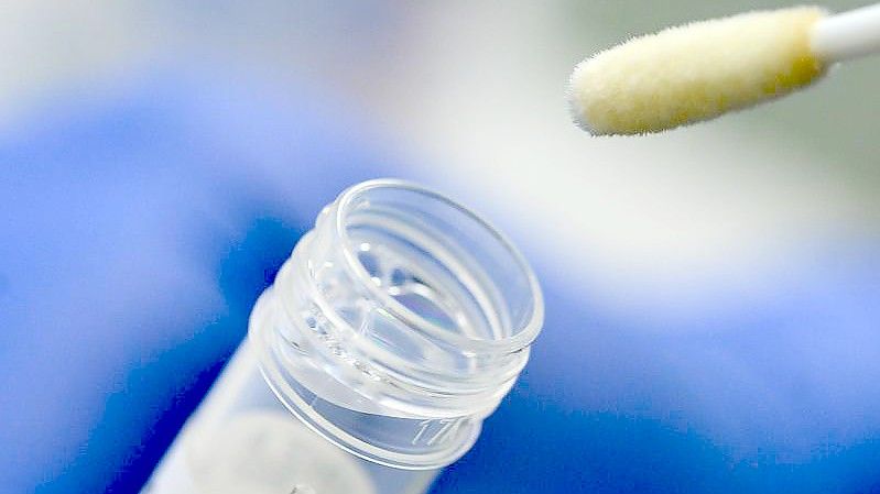 Ein Mann zeigt ein Stäbchen für einen Abstrich. Foto: Sebastian Gollnow/dpa