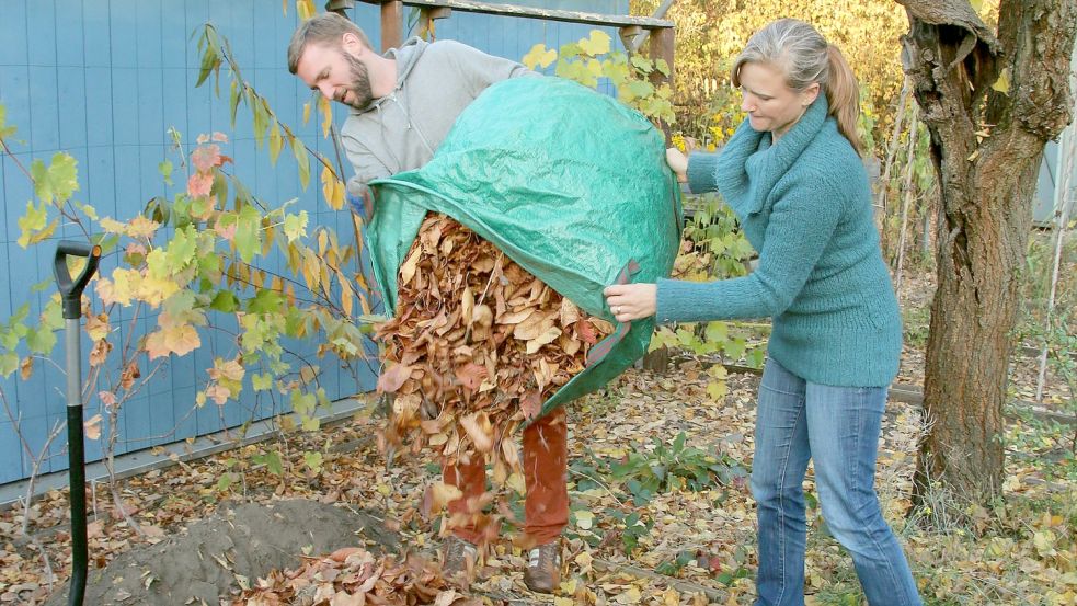 Laub fällt derzeit in fast jedem Garten an. Es kann als Mulchschicht an vielen Stellen liegenbleiben. Foto: NABU/Eric Neuling