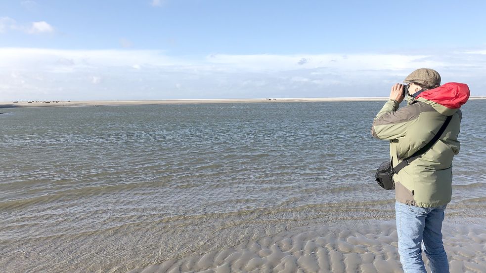 Inselgast Michael Bellert aus Brandenburg fotografiert die Meeressäuger auf den Seehundbänken vor Borkum. Foto: Kraft