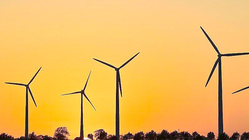 Immer mehr neue Windenergieanlagen gehen in Betrieb. Foto: Patrick Pleul/dpa-Zentralbild/ZB