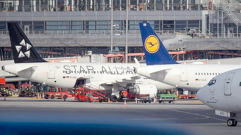 Ein A319 und ein A320 der Lufthansa stehen auf dem Rollfeld vor dem Terminal auf dem Flughafen Hamburg in der Sonne. Foto: Gregor Fischer/dpa