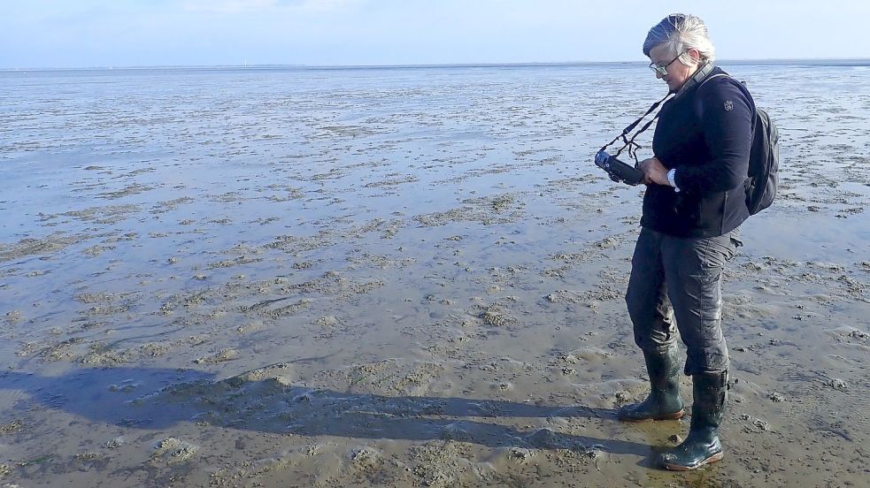 Die Biologin Kerstin Kolbe ist für den NLWKN oft im Wattenmeer unterwegs, um die dort lebenden Pflanzen und Tiere zu erfassen. Foto: Privat