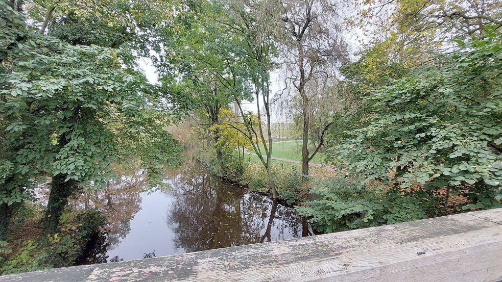 Die Hunde hätten von der geplanten Freilauffläche am Wall aus auch Zugang zum Stadtgraben.