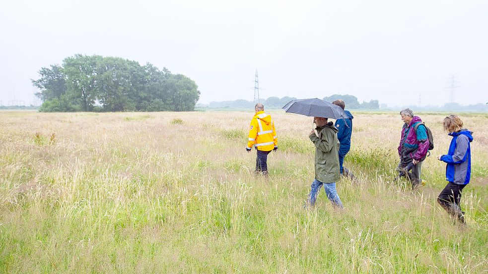 Im Sommer dieses Jahres trafen sich Kritiker und Befürworter der Abholzung am Wäldchen Janssens Tuun (im Hintergrund). Foto: J. Doden/Archiv