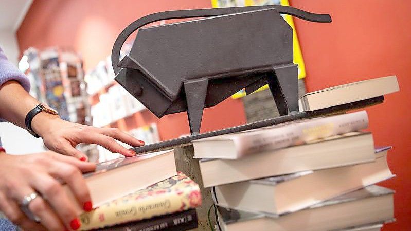 Ein Buxtehuder Bulle auf einem Bücherstapel. Foto: Sina Schuldt/dpa
