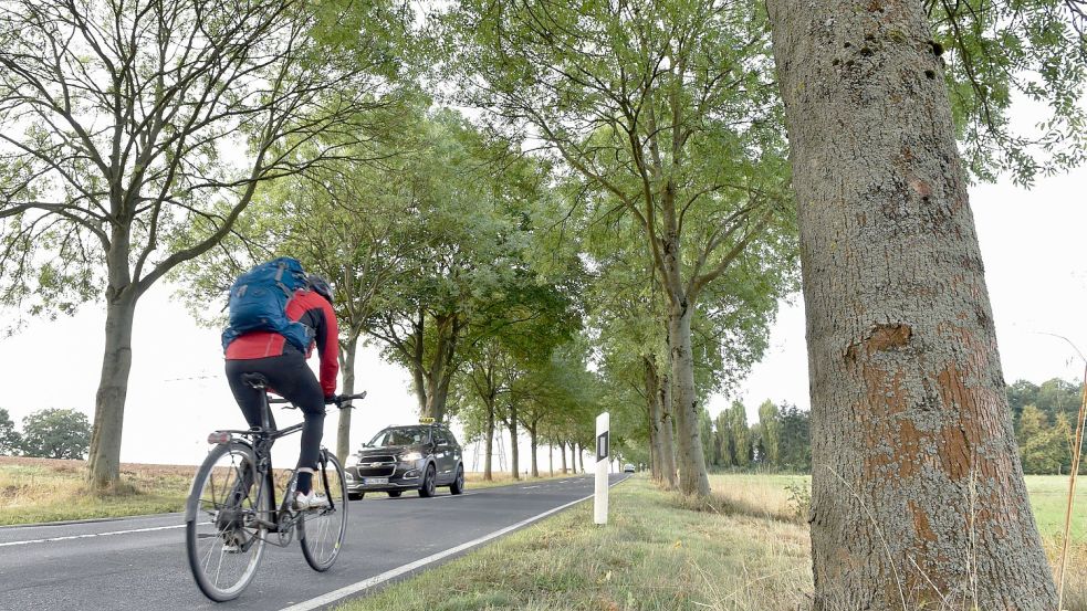 Autofahrer müssen mindestens eineinhalb Meter Abstand beim Überholen von Fahrradfahrern einhalten. Foto: dpa/Uwe Zucchi