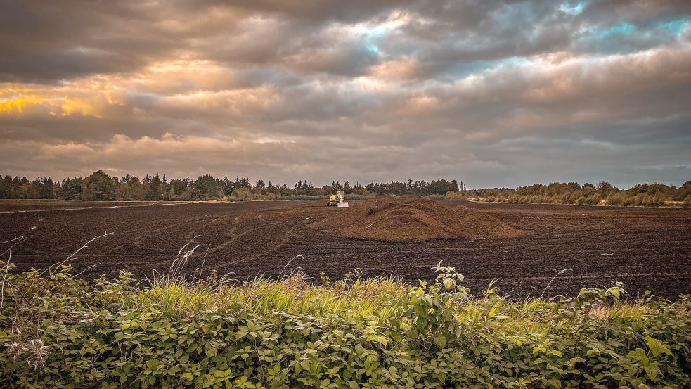 Torfabbau in Marcardsmoor mit Blick vom Grünen Weg auf die Zweite Reihe: In der Nachbarschaft dieser Flächen ist, mit Land, Stadt und Ortsbewohnern in einem Kompromiss vereinbart, weiterer Torfabbau beantragt worden. Foto: Cordsen