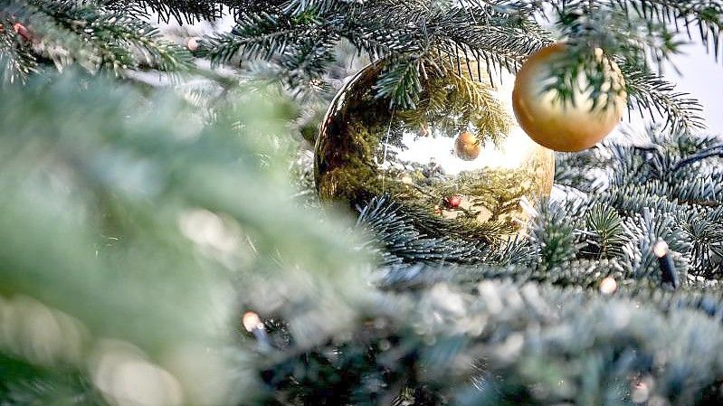 Ein Weihnachtsbaum ist mit Kugeln und einer Lichterkette geschmückt. (Archivbild). Foto: Britta Pedersen/dpa-Zentralbild/ZB
