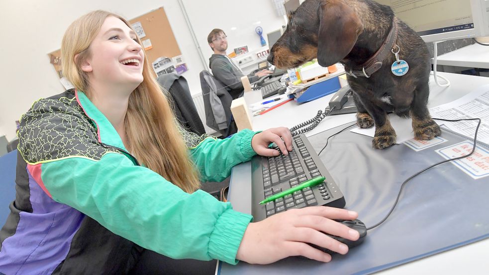 Ein Hund im Büro? Arbeitnehmer haben häufig den Wunsch, ihr Tier mitzunehmen. Foto: Ortgies
