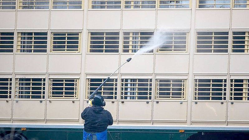 Ein Mann säubert mit einem Hochdruckreiniger einen Viehtransporter. Foto: Jens Büttner/dpa-Zentralbild/dpa