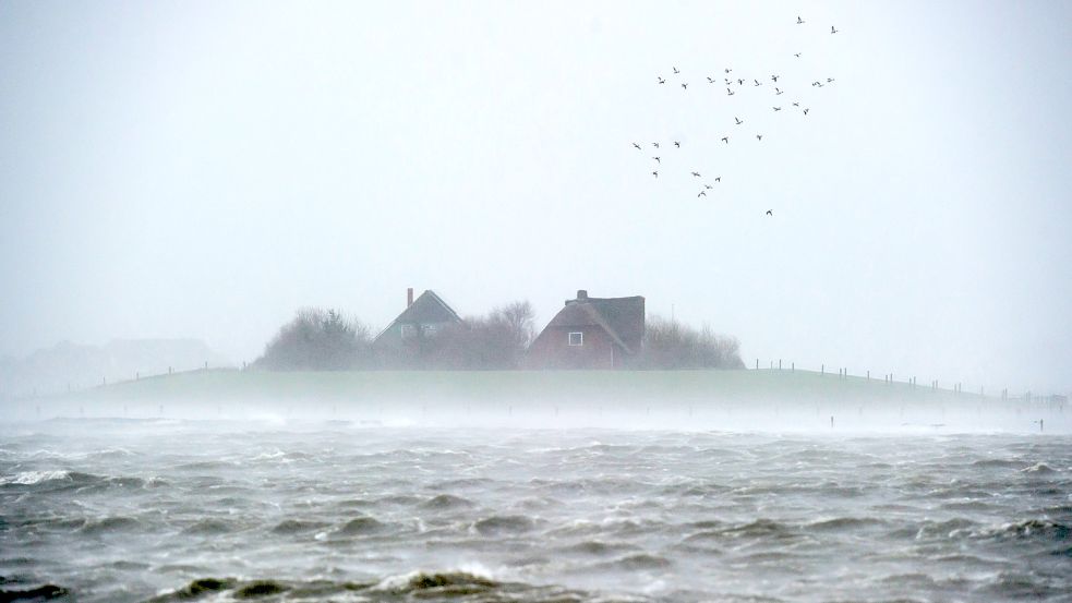 Landunter auf der nordfriesischen Hallig Langeneß. Bei Nebel hat Küste der Nordsee etwas Mystisches. Foto: Hitij/dpa