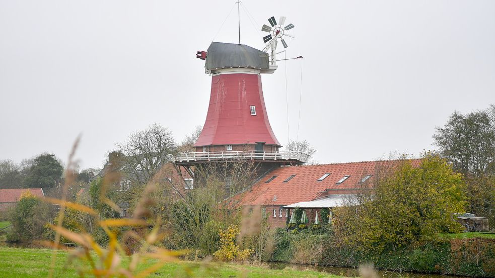 Die Mühle Schoof wird in diesem Jahr 100 Jahre alt. Foto: Wagenaar