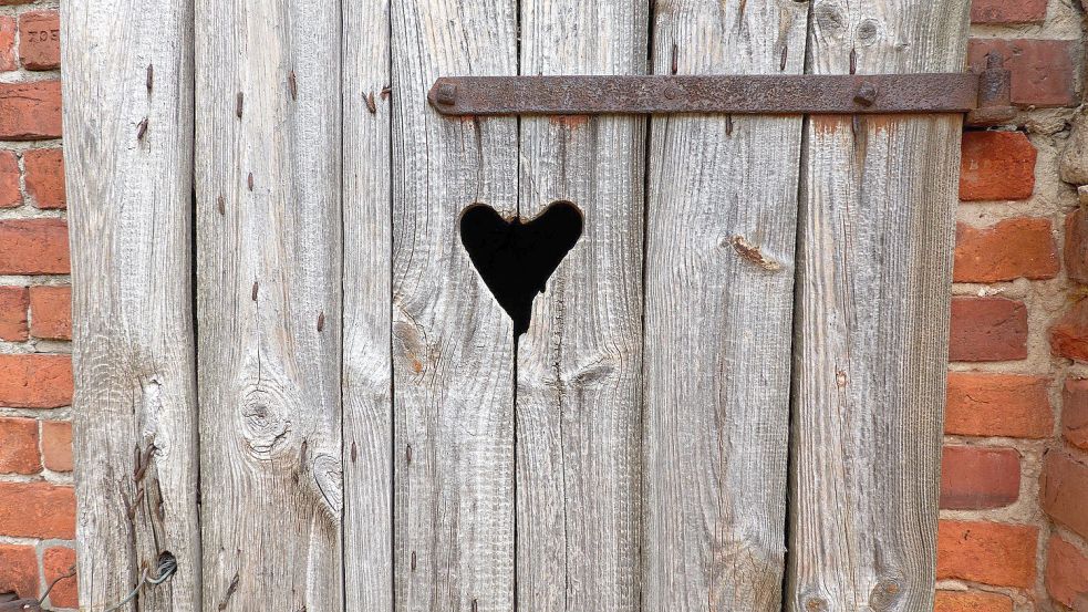 Die Zeit der Plumpsklos dürfte auch in Ostfriesland vorbei sein. Foto: Wolter/Pixabay
