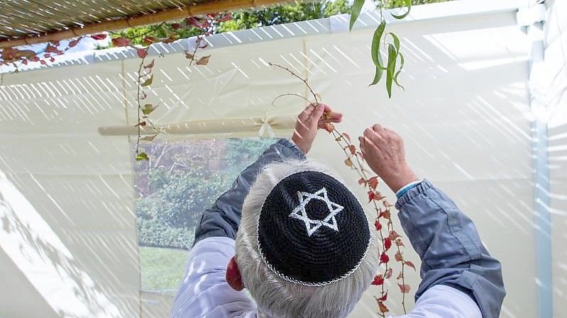 Mitglieder der jüdischen Gemeinde in Schwerin schmücken die traditionelle Laubhütte mit Zweigen und Früchten. Foto: Jens Büttner/dpa-Zentralbild/ZB
