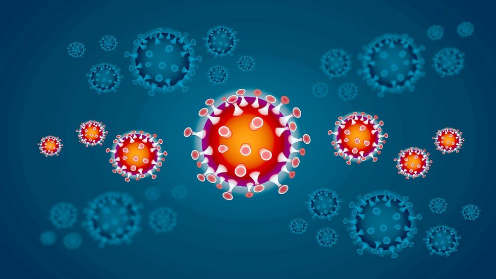 In Ostfriesland wurden 191 Neuinfektionen mit dem Coronavirus gemeldet. Foto: Pixabay
