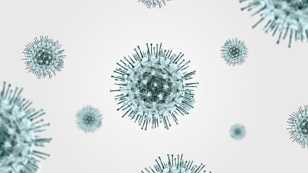 In Ostfriesland wurden an diesem Dienstag 31 Neuinfektionen mit dem Coronavirus gemeldet. Foto: Pixabay