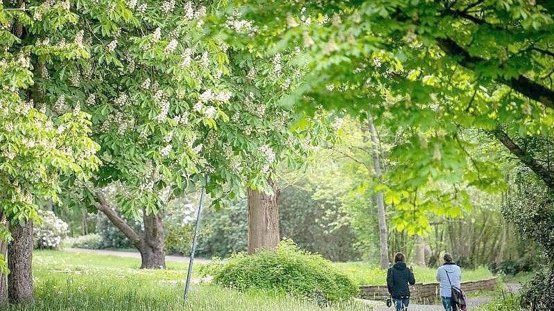 Zwei Spaziergänger gehen durch einen Park zwischen den Bäumen. Foto: Sina Schuldt/dpa