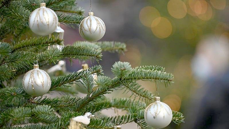 Zu Weihnachten gehört für viele auch ein dekorierter Baum. Foto: Marijan Murat/dpa
