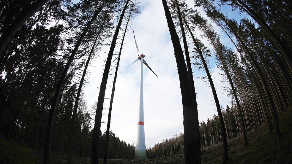 Windparks auf ihren Stadt-, Gemeinde- oder Landkreisgebieten? Von Anfragen der Holts wussten Zeugen am Donnerstag nichts. Foto: Oliver Berg