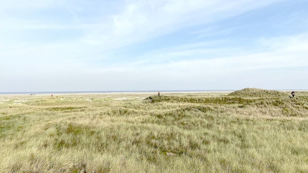 Eine Gesellschaftsjagd auf Spiekeroog, die Jäger tragen Warnwesten. Foto: Hinrichs