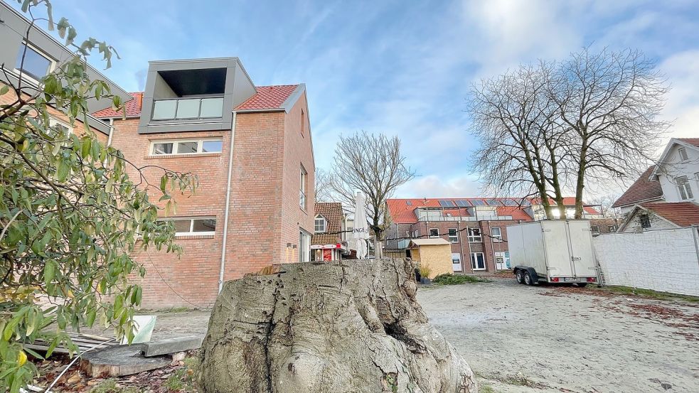 Die Fläche am Carolinengang soll neu gestaltet werden. Foto: Boschbach